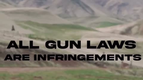 All gun laws are infringements