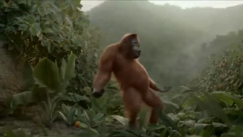 funny monkey dancing