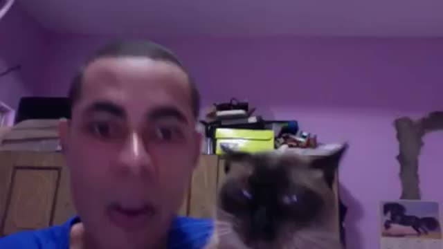 My cat I doing beatbox