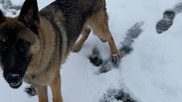 Kaapo In Snow