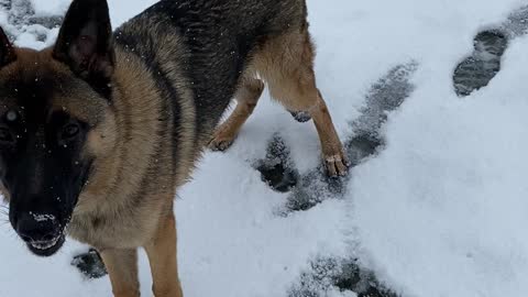 Kaapo In Snow