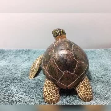 Sea turtle carving