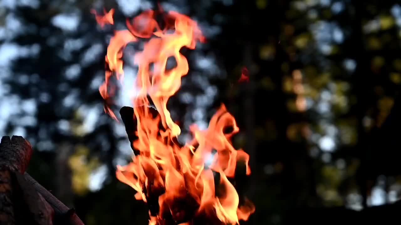 campfire fire flames