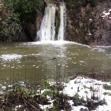 The Waterfall on Anna Belcher Creek