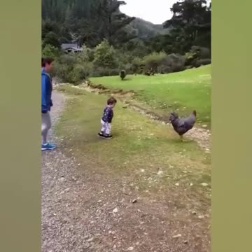 Funniest pets😁😁