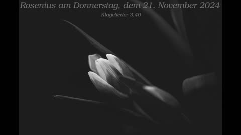 Rosenius am Donnerstag, dem 21. November 2024 zu Klagelieder 3,40