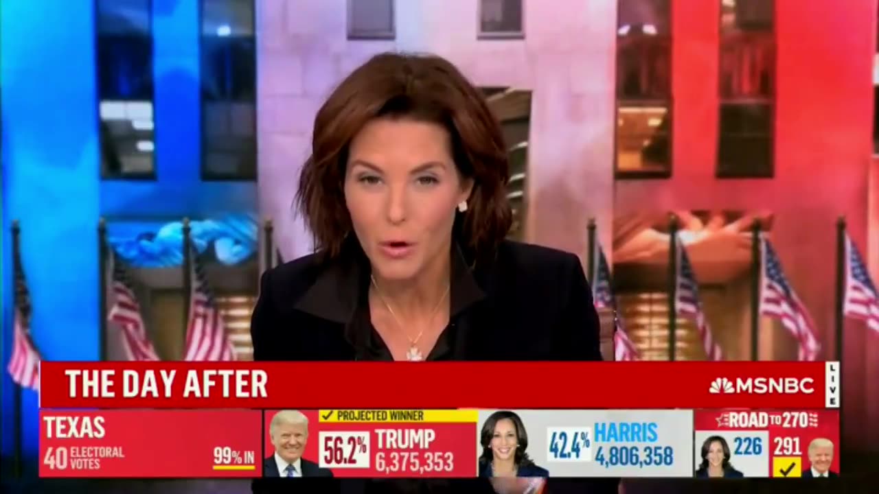 MSNBC's Ruhle Warns: "America, Brace for Impact"