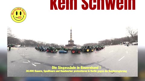 Die Ampel braucht kein Schwein