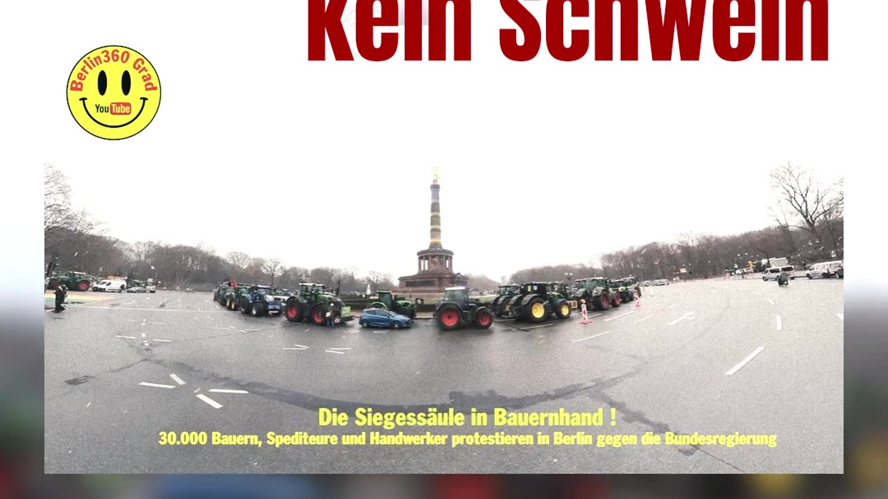 Die Ampel braucht kein Schwein