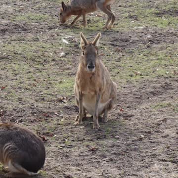 Nature and Wildlife 59