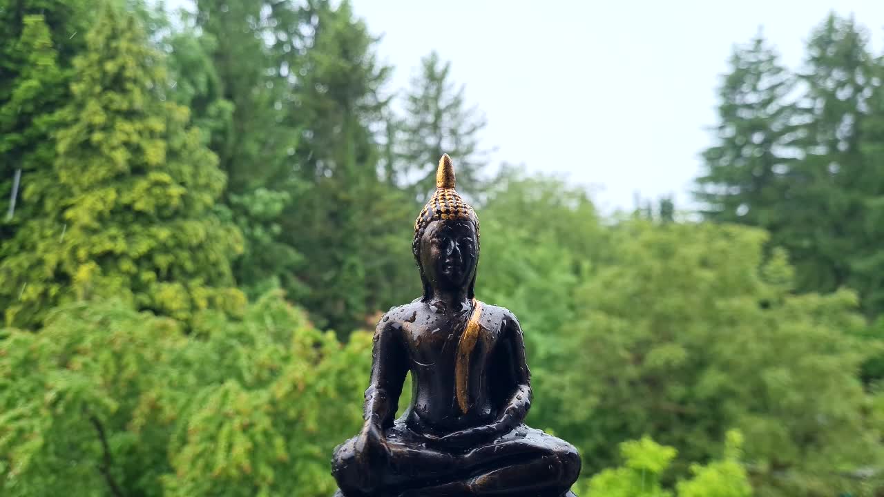 Pineal Gland Activation Om Third Eye Chant Meditation (7 Minutes)