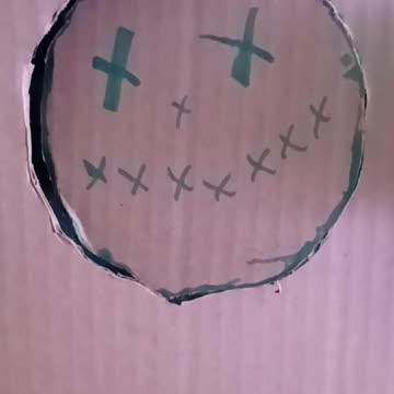 Wait for it....ferret surprise!!