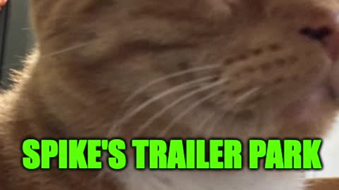 Spike's Trailer Park #20