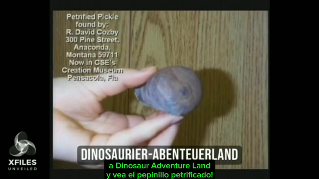The amazing truth about the fossilization of living beings and objects