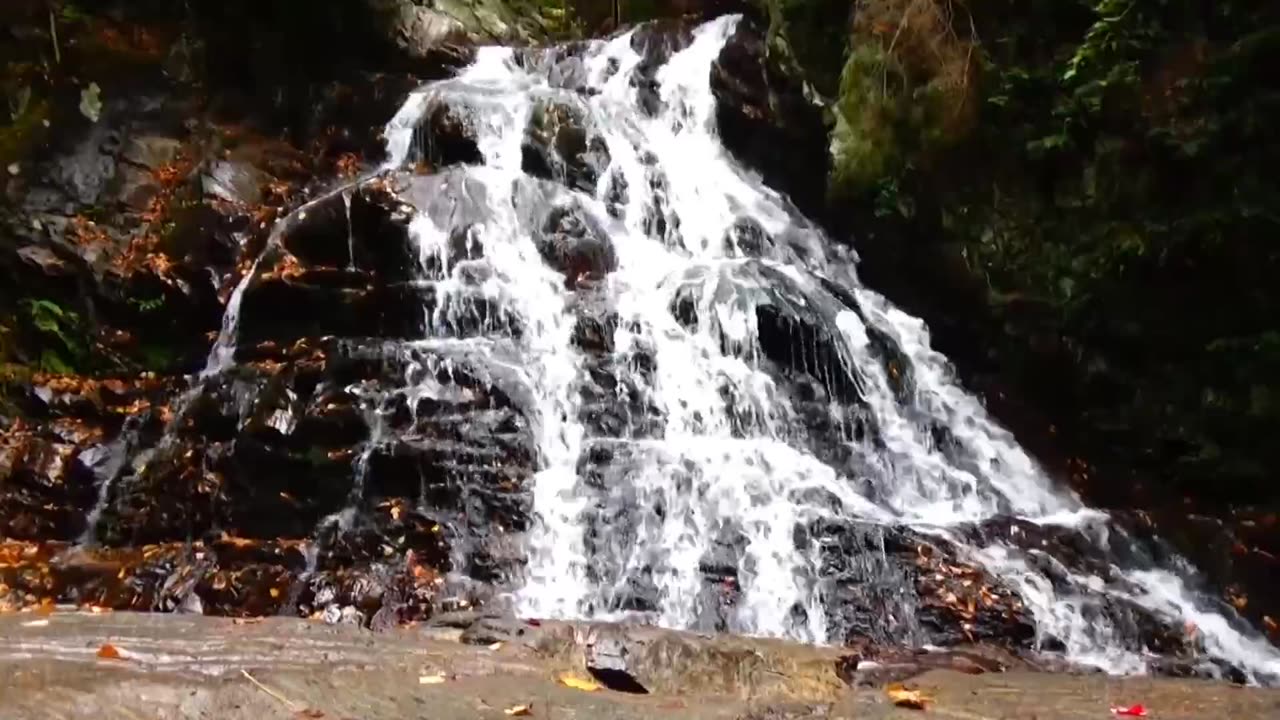 Cascade