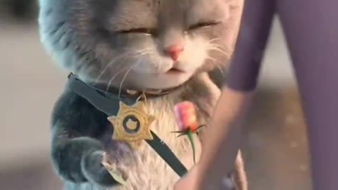 Silly cat 🐈