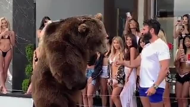 A guy manages to feed a real bear