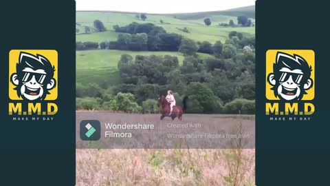 OUCH, Girl Bump Off Horse _ Caught on camera