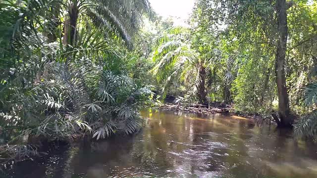 COOL RIVER UNDER THE BRIDGE.