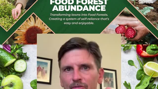 Food Forest Abundance, Joe Rogan and Russell Brand