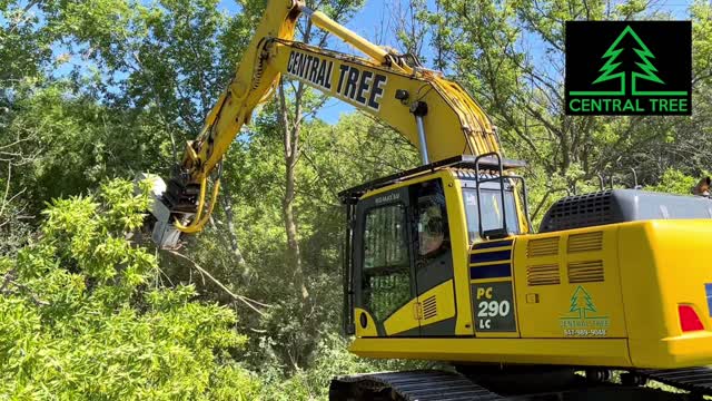 Excavator Forestry Mulcher