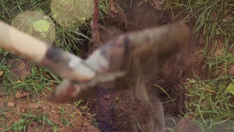 How To Gaslight 7 Billion People