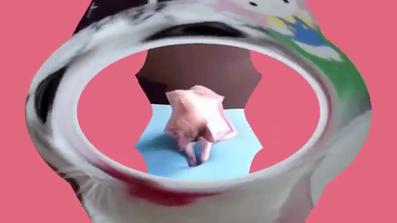 Funny Animals