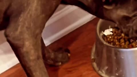 She Hungry