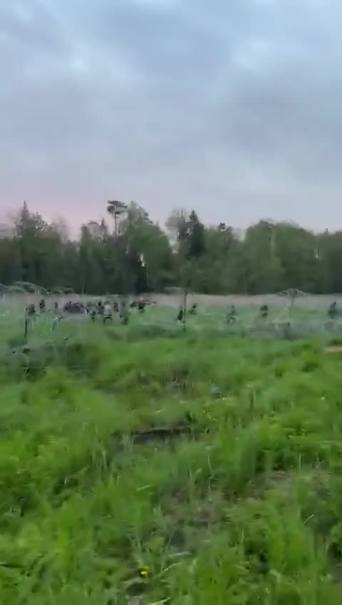 Polish soldiers repelled illegal immigrants at the Belarusian border