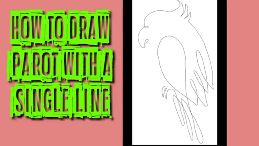 How to Draw a Parrots with single line art