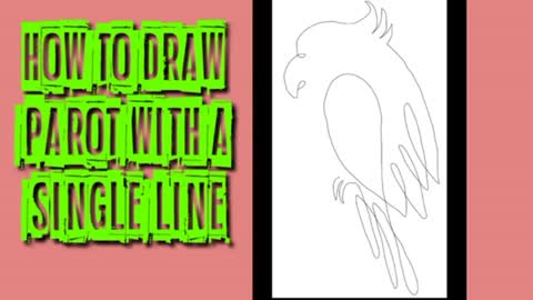 How to Draw a Parrots with single line art