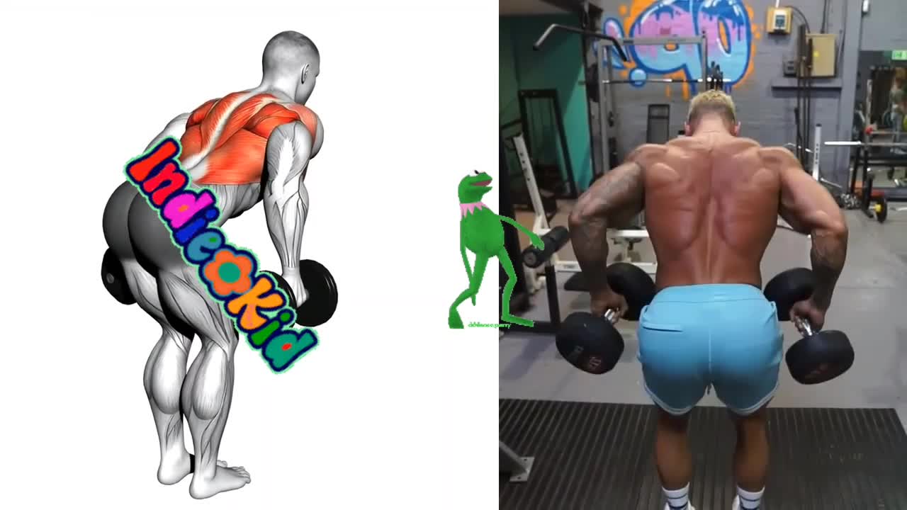 #1.Back exercise