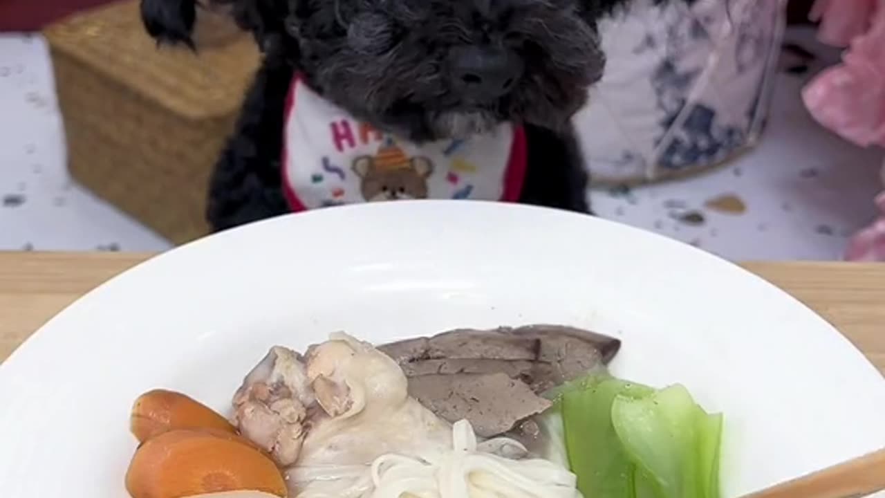 Snack Time Symphony: Biscuit Chewing Sounds ASMR