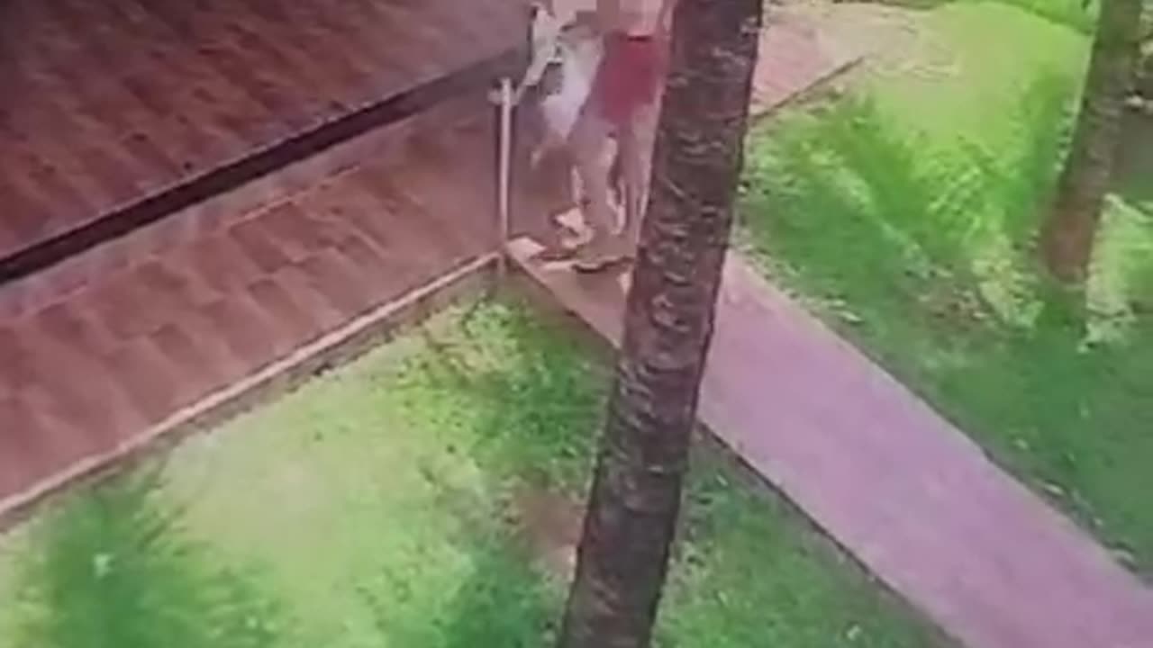 Ataque de cachorro em Lucas do Rio Verde