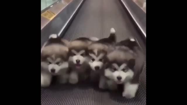 do not give up guys