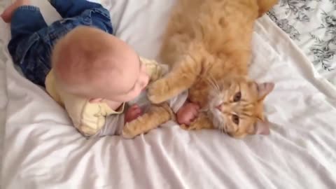 Cats that are seeing babies, with curiosity