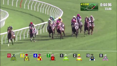 Horse_Race_2022052908_Chinese