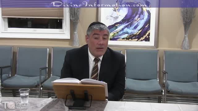 Psychology Of The Mind - Soulmates, Dating & Relationships #10-Final