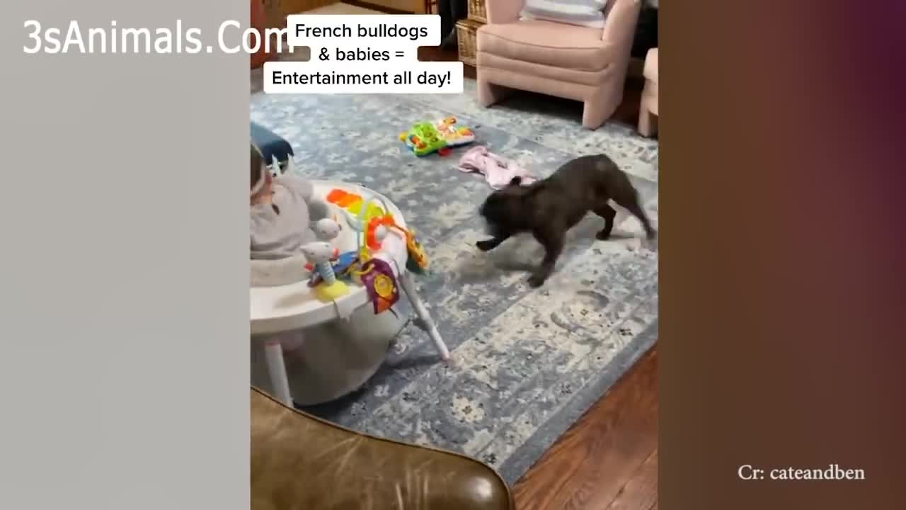 Adorable Puppies Love Babies Compilation ๐ A Cute Puppy ๐ถand Baby