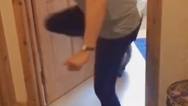 #cat #catsoftiktok #funny #funnyvideos #interesting