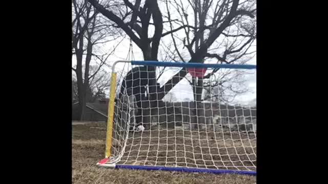 Young lions First soccer ball