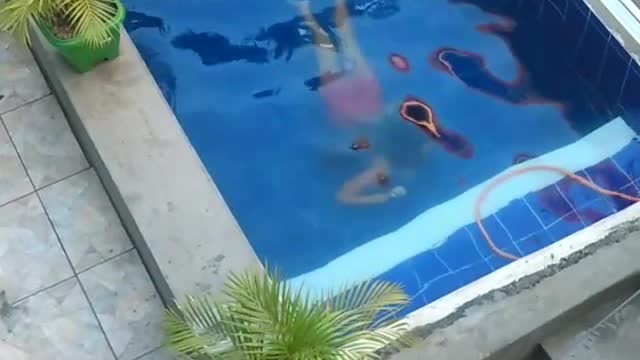 Swimming in the pool. Satisfactory! (Nadando na piscina. Satisfatório!