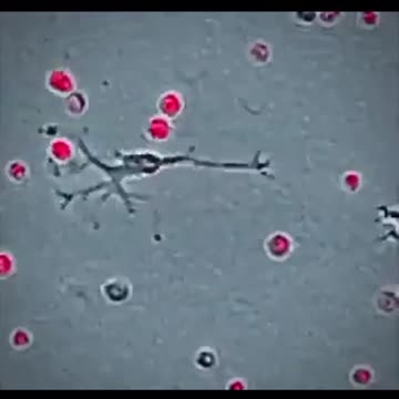 Educational Purposes Only..!