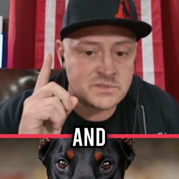 Why Are Cane Corsos So Popular Right Now?