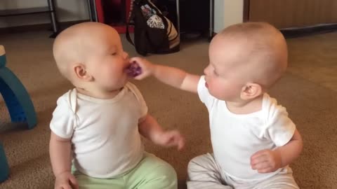Twin baby girls fight over pacifier