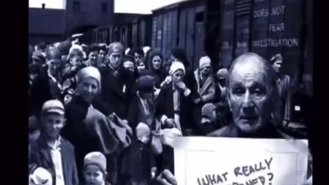 “The American Red Cross visited Auschwitz in 1944 and made no mention of