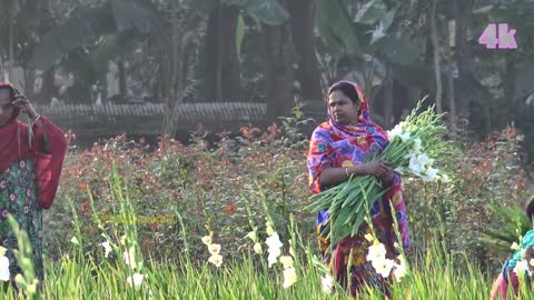 wow so beautiful natural video