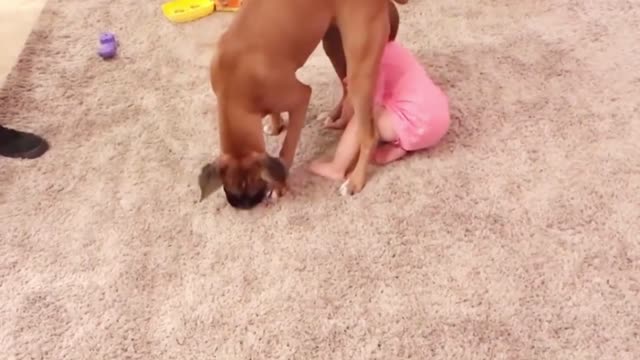 Dogs are the best friend of Babies 16