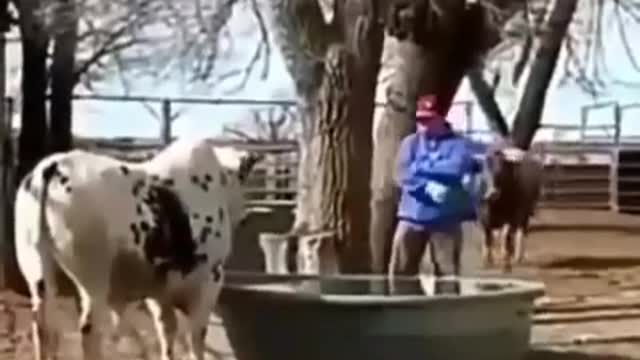 Big scare