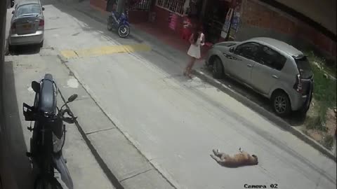 Video atropello a Manchas